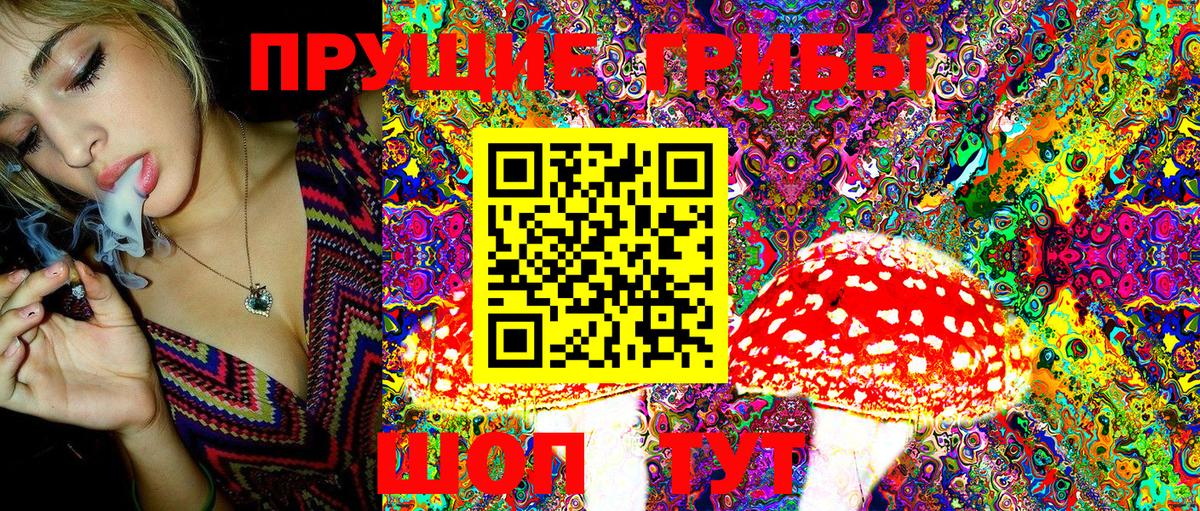 Галлюциногенные грибы Cubensis Апатиты