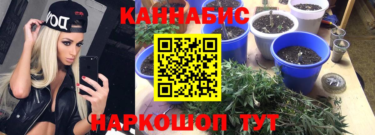 Шишки марихуана ГИДРОПОН Апатиты